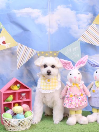 20240323うみちゃん